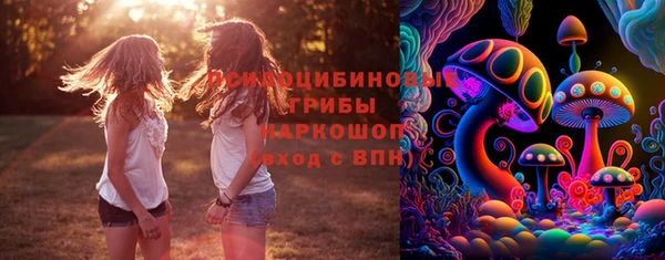 стафф Абдулино