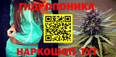 spice Гусиноозёрск