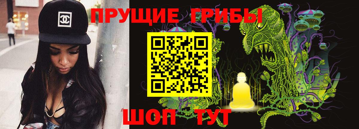 Галлюциногенные грибы Psilocybe Нижнекамск