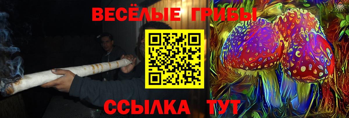 Псилоцибиновые грибы Psilocybe  как найти закладки  Нижнекамск  Вход с VPN 